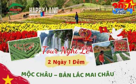 Tour Du Lịch Mộc Châu 2 Ngày 1 Đêm 30/4-1/5 Từ Hà Nội